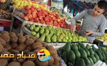 انخفاض ملحوظ في اسعار الخضروات غدا الخميس 04-07-2019 فى كل محافظات مصر