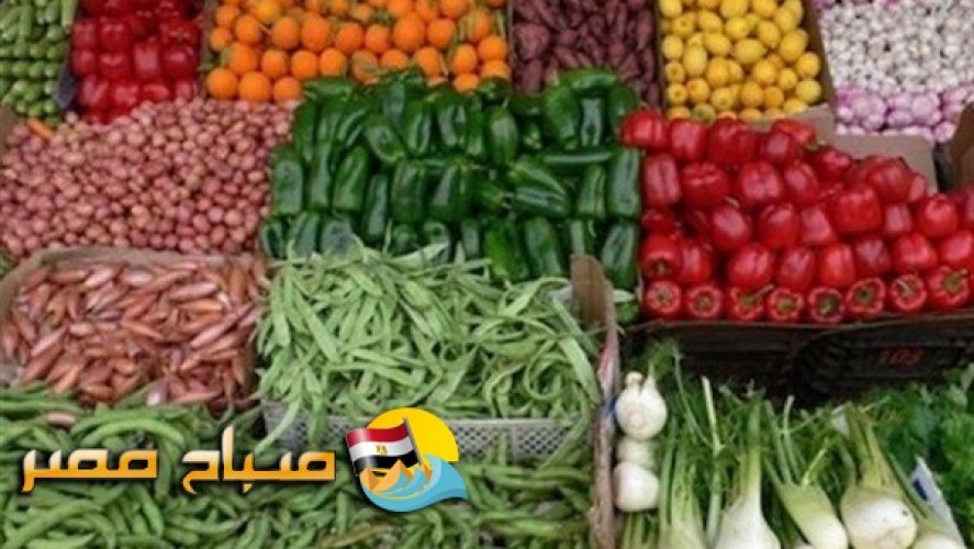 أسعار الخضار فى اسواق محافظة الدقهلية اليوم الاربعاء