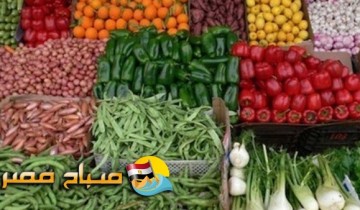 تأسيس شركة لإنشاء سوق جديدة للخضر والفاكهة بمحافظة الإسكندرية