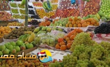 اسعار الفاكهة اليوم  الاحد فى اسواق محافظة البحيرة