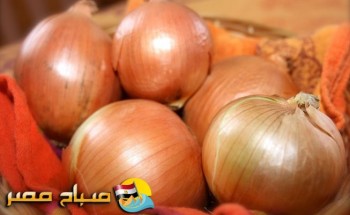 هيئة الغذاء والتغذية فى الكويت تعلن صلاحية البصل المصرى وتكذب مزاعم الإخوان