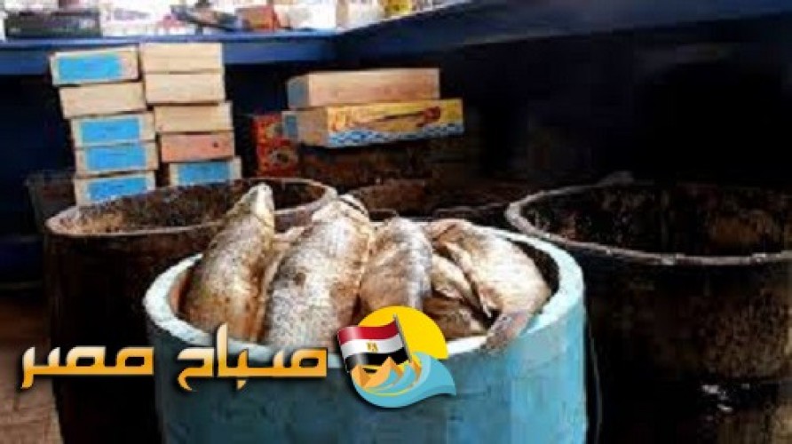 ضبط 265 عبوة أسماك مملحة (أنشوجة) غير صلاحة للاستهلاك الآدمي بالاسكندرية