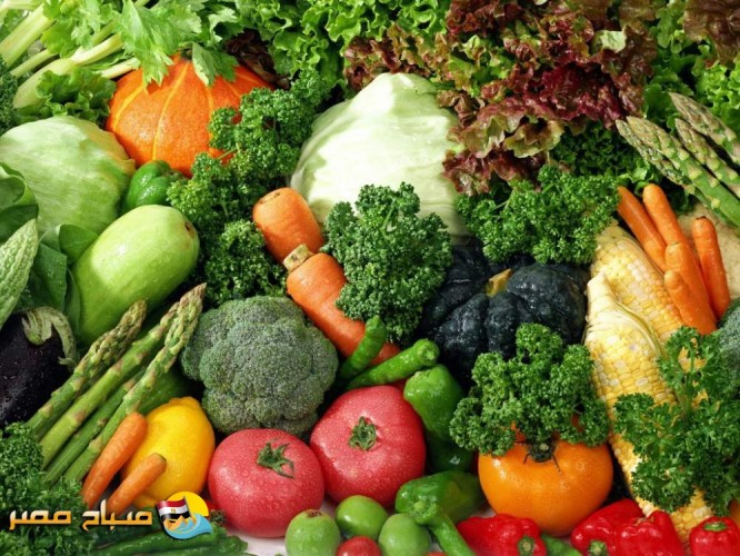 أسعار الخضروات الجديدة اليوم الأربعاء 21-08-2019 وتستقر الحالة الاقتصادية