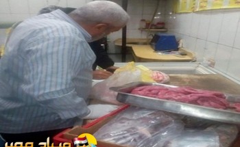 بالصور لجنة لتفتيش المحلات والمطاعم بالبحر الأحمر بعد العثور على كلاب مذبوحة