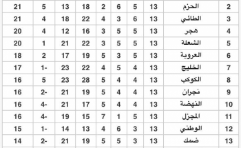 جدول ترتيب الجولة 13 دورى الامير فيصل بن فهد