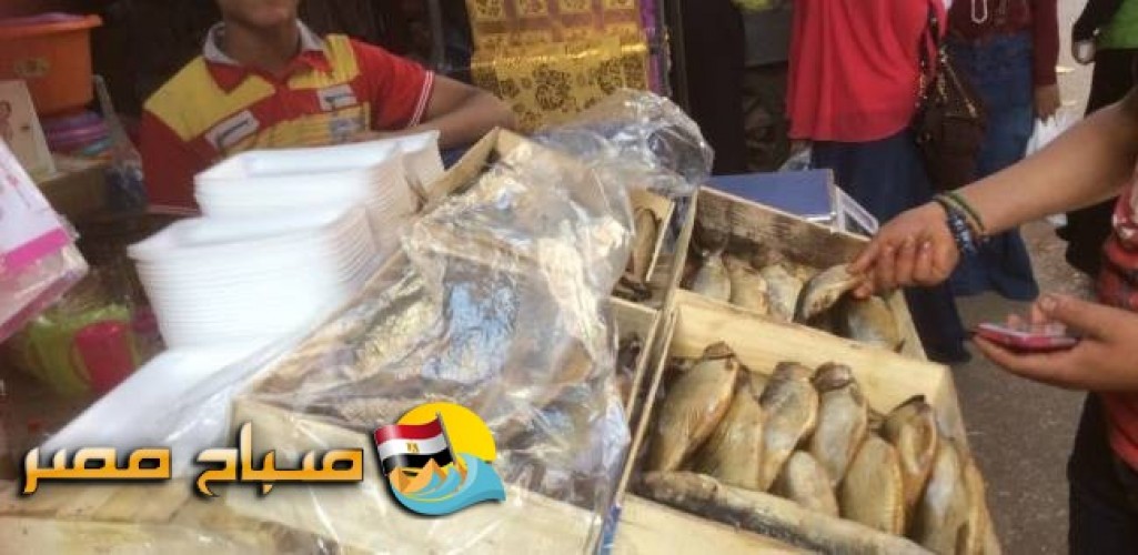 إعدام أسماك مملحة فاسدة فى حملة على الاسواق بالإسكندرية