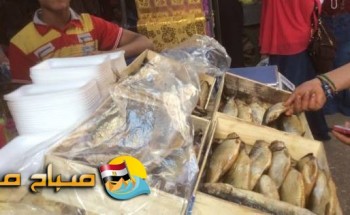 إعدام أسماك مملحة فاسدة فى حملة على الاسواق بالإسكندرية