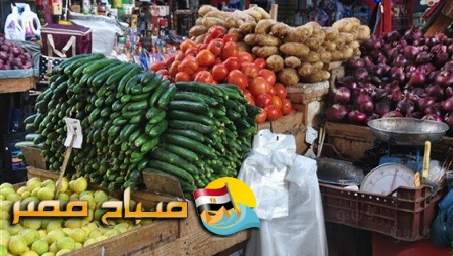 استقرار كبير في أسعار الخضار اليوم الثلاثاء 27-08-2019 باسواق المحافظات المصرية