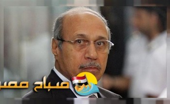 القبض على وزير الداخلية الاسبق حبيب العادلي