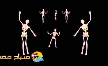 فيديو متداول على فيس بوك لتعليم الرقص الشرقى ب”هياكل عظمية”