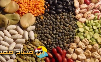 اسعار البقوليات والتوابل والأعشاب اليوم الجمعة فى محافظة سوهاج
