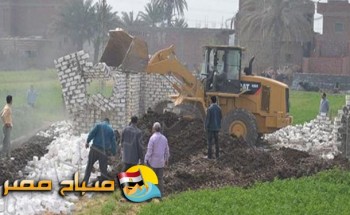 زراعة الاسكندرية تبدأ إزالة تعديات على 1300 فدان أراضى زراعية