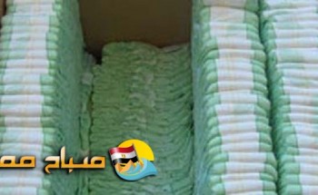 ضبط صاحب مصنع ورقيات يقوم بتصنيع حفاضات اطفال من تدوير المخلفات بالاسكندرية