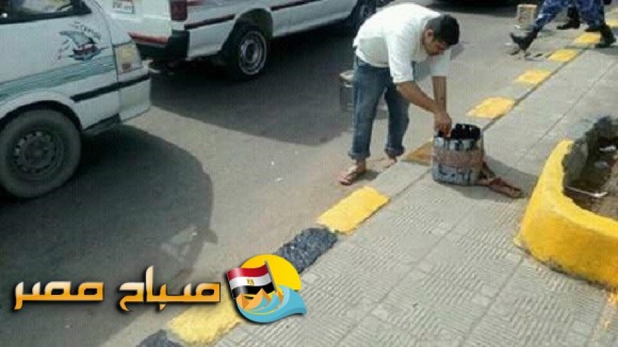 بالصور أعمال تجميل الطرق والشوارع بحي الجمرك فى الاسكندرية