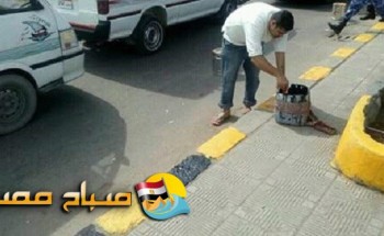 بالصور أعمال تجميل الطرق والشوارع بحي الجمرك فى الاسكندرية