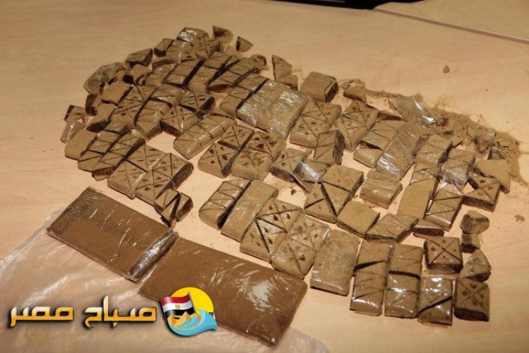 القبض على 10 تجار مخدرات في حملة أمنية بالقليوبية