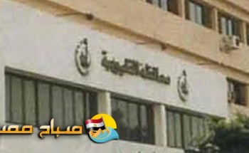 محافظة القليوبية تصدر 13 ألف بطاقة رقم قومي بالمجان للسيدات غير القادرات