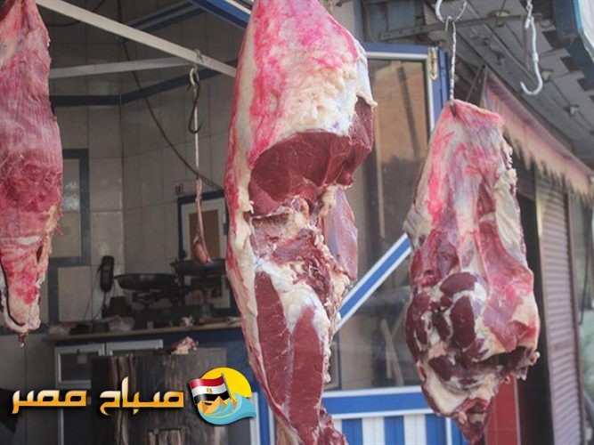أسعار اللحوم اليوم الأثنين 19-11-2018 بمحافظة الإسكندرية