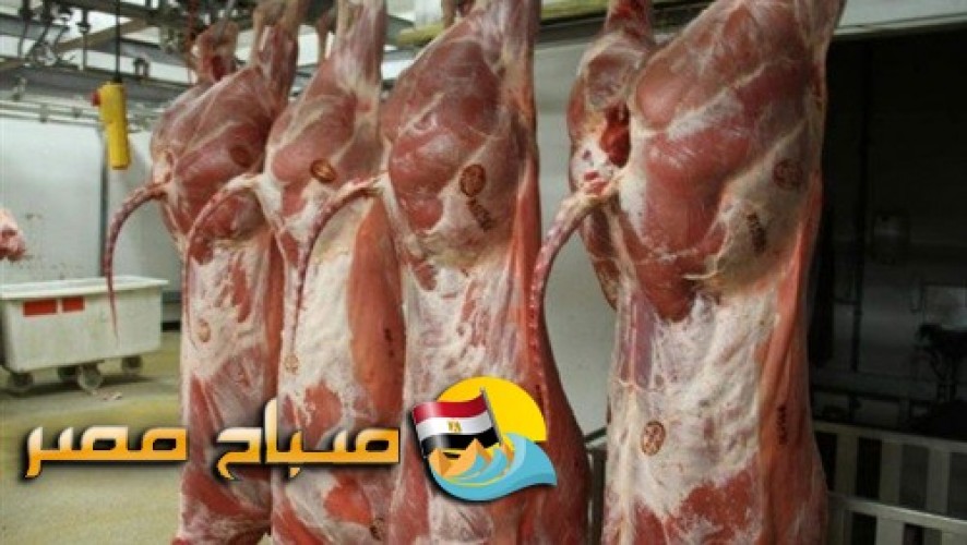 اسعار اللحوم البلدى و المستوردة فى القليوبية اليوم الاحد