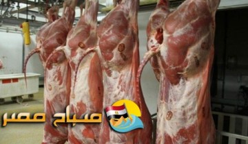 أسعار اللحوم اليوم الأحد 28-10-2018 بمحافظة الإسكندرية