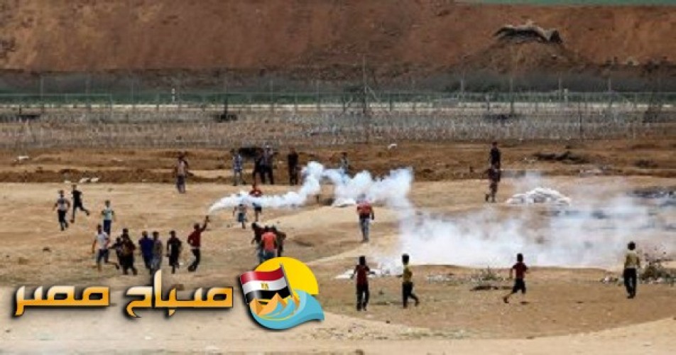 استشهاد 52 فلسطينى وإصابة 2410 برصاص قوات الاحتلال