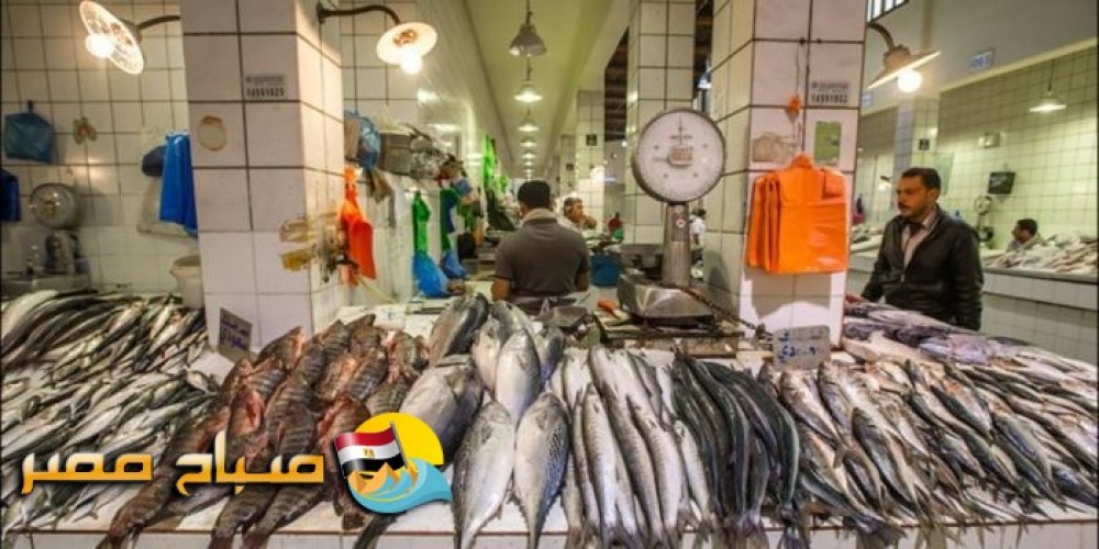 تعرف علي أسعار الأسماك اليوم السبت 2-6-2018 فى مصر