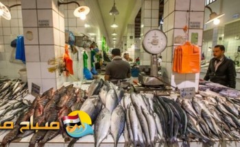 تعرف علي أسعار الأسماك اليوم السبت 2-6-2018 فى مصر