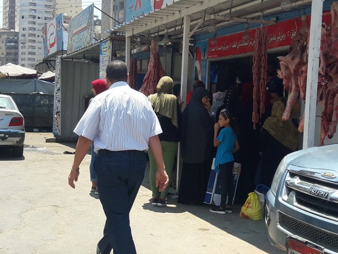 توفير 11 منفذ متنقل لبيع السلع الغذائية المخفضة بمحافظة الإسكندرية