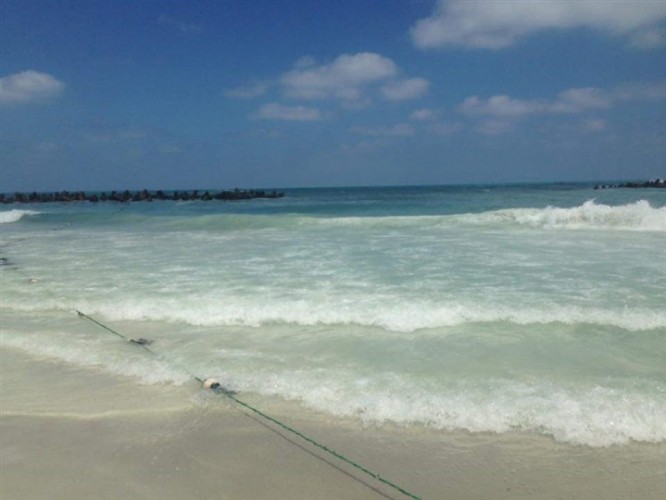 التوقيع على إقرار لمن يرغب بالسباحة فى شاطئ النخيل بعد غرق العديد من المواطنين