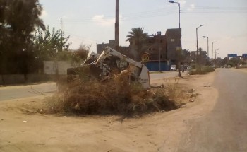 تنفيذ حملة نظافة وازالة الهيش بطول طريق قرية البستان بدمياط