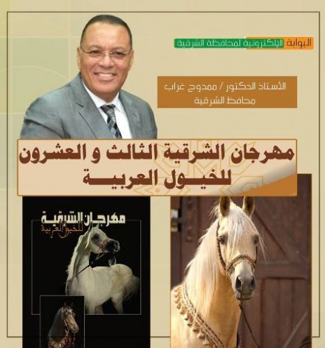 غداً ..بدء إنطلاق فعاليات مهرجان الشرقية للخيول العربية بمركز بلبيس