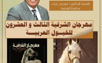 غداً ..بدء إنطلاق فعاليات مهرجان الشرقية للخيول العربية بمركز بلبيس