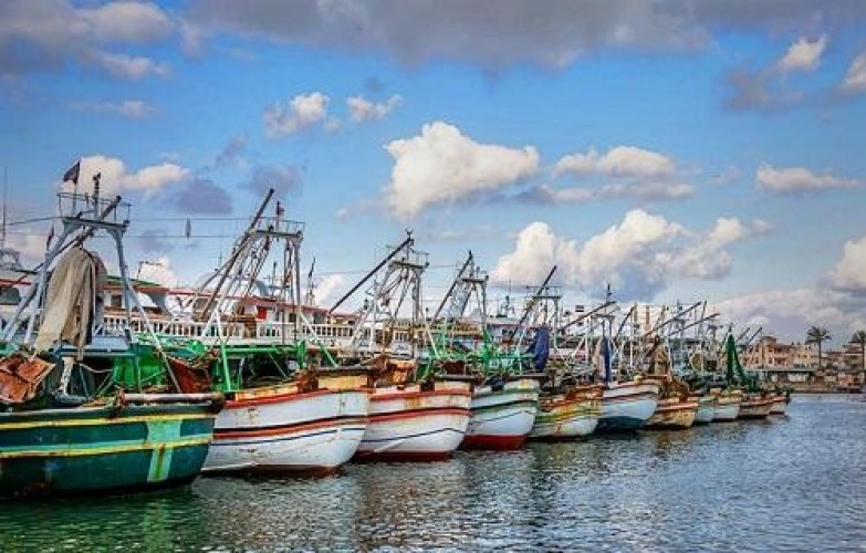 “نقيب الصيادين بدمياط “يطالب بإزالة كافة التعديات على بحيرة المنزلة