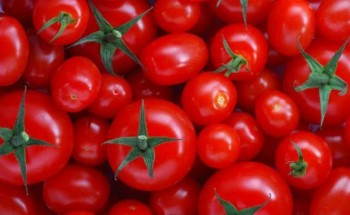 استمرار إرتفاع أسعار الطماطم في أسواق المحافظات وتسجل 10 جنية للكيلو