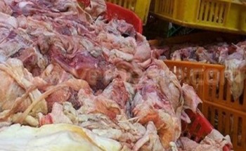 ضبط مصنعين لإنتاج وتعبئة مصنعات اللحوم والبسطرمة غير صالحة للإستهلاك الآدمى بالقليوبية
