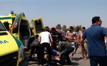 إصابة 8 أشخاص أثر إنقلاب سيارة بمحافظة الشرقية