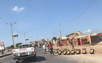 ” زبده يا باشا ” بائعي المانجو يستقبلون زوار دمياط على مدخل منطقة شطا