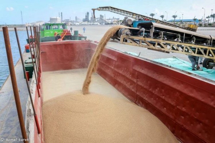53978 طن قمح رصيد صومعة الحبوب بمخازن القطاع الخاص في ميناء دمياط
