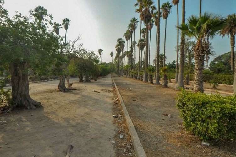 محافظ الإسكندرية ينفي شائعة بيع حديقة أنطونيادس