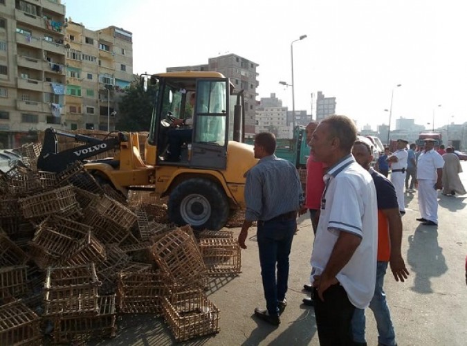 بالصور حملات إزالة إشغالات مكبرة بحى وسط فى الإسكندرية