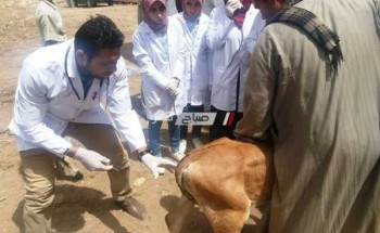 إنطلاق قافلة بيطرية مجانية لعلاج الحيوانات بقرية بدمياط