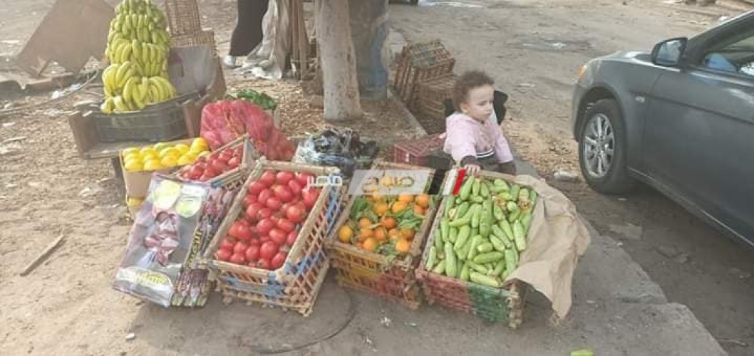 جمعية منار السبيل تنفذ 6 مشاريع لنساء معيلات بدمياط