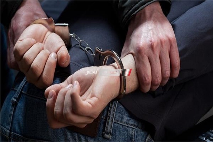 ضبط 9 تجار مخدرات في حملة امنية مكبرة بدمياط