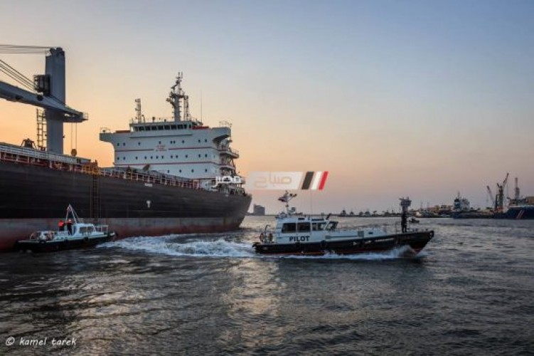 ميناء دمياط يستقبل 10 سفن حاويات وبضائع عامة و 18 سيارة نقل تغادر بحمولة 769 طن قمح