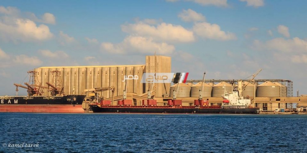 ميناء دمياط يستقبل 10 سفن ويغادر 54648 طن من البضائع العامة