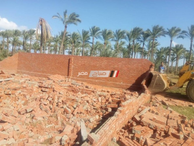 إزالة 30 حالة تعدى على الأرض الزراعية بدمياط بالتعاون مع مركز شرطة كفر البطيخ