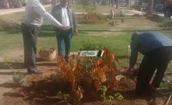 رئيس محلية راس البر يتفقد اعمال الرصف و تجميل الحدائق و يقود حملة اشغالات