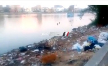 بالفيديو و الصور قوارض و تراكمات للقمامة على ضفاف نهر النيل بدمياط