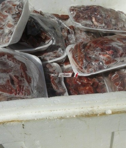 ضبط كمية كبيرة من اللحوم الغير صالحة للاستهلاك الآدمي بالإسكندرية