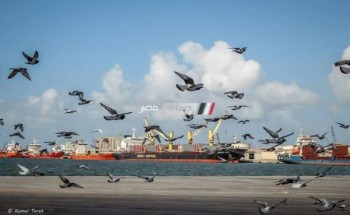 ميناء دمياط يستقبل 8 سفن و 83 سيارة نقل تغادر بحمولة 3150 طن قمح